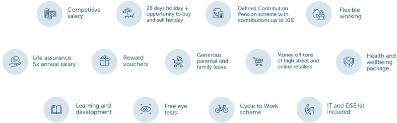 Career Page Icons - text